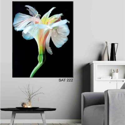 tableau fleur SAT-272