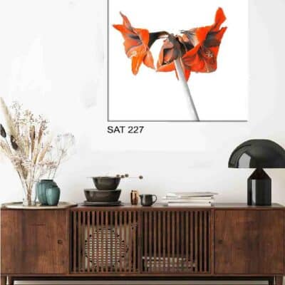 tableau fleur SAT-272