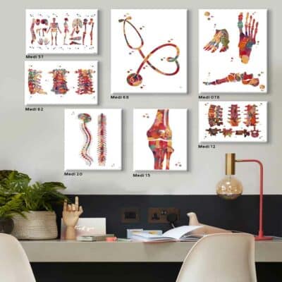 Tableaux pour cabinet médical