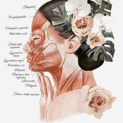 tableau beauté esthi - 62