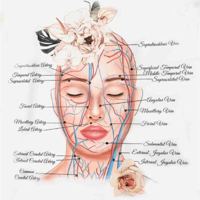 tableau beauté esthi - 58