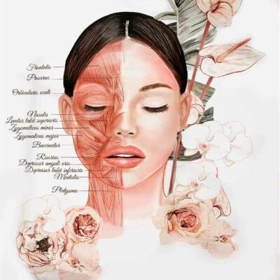 tableau beauté esthi - 57