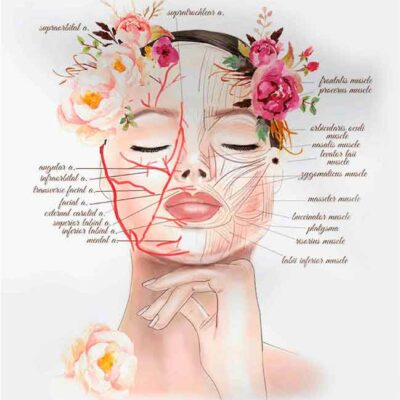 tableau beauté esthi - 48