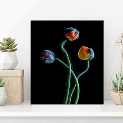 tableau fleur NA- 35