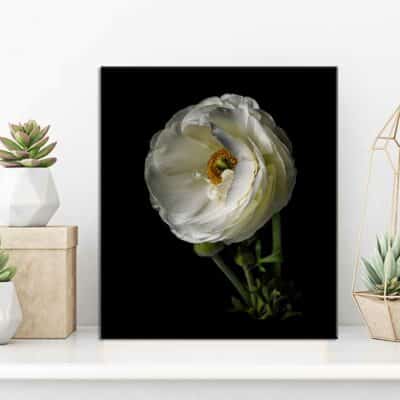 tableau fleur NA- 32