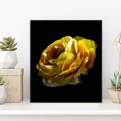 tableau fleur NA- 27