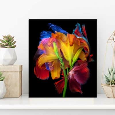 tableau fleur NA- 45