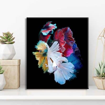 tableau fleur NA- 36