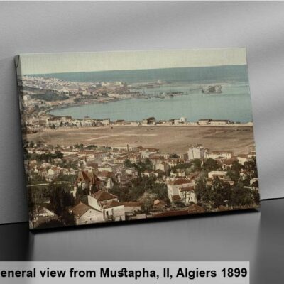 tableau orientalisme DZ-50