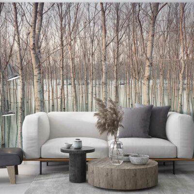 papier peint mural forêt naturelle avec des bouleaux, design moderne pour décoration intérieure en Algérie – Aliprintdz