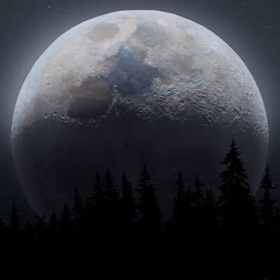 Papier peint décoratif en Algérie, résistant, lavable et parfait pour embellir vos pièces avec style