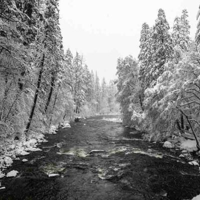 ALIPRINT Rivière enneigée entourée de forêts hivernales, idéale pour papier peint nature, ambiance sereine et paisible, paysage hivernal magnifique. Algerie