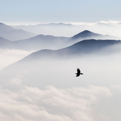 ALIPRINT Oiseau volant au-dessus de montagnes embrumées, ambiance sereine et mystique, idéal pour fond d'écran nature. Paysage de montagne brumeux. Algerie