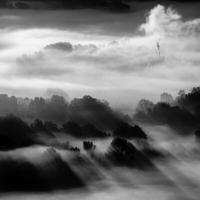 ALIPRINT Paysage brumeux en noir et blanc avec arbres et fumée, créant une ambiance mystique et sereine. Idéal pour fond d'écran nature. Algerie