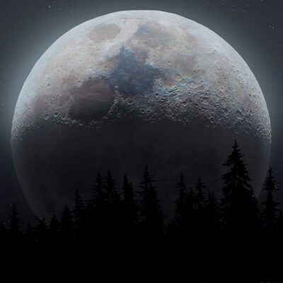 ALIPRINT Lune lumineuse au-dessus de la silhouette des arbres nocturnes, ciel étoilé. Image de fond d'écran captivante avec un thème astral et naturel. Algerie