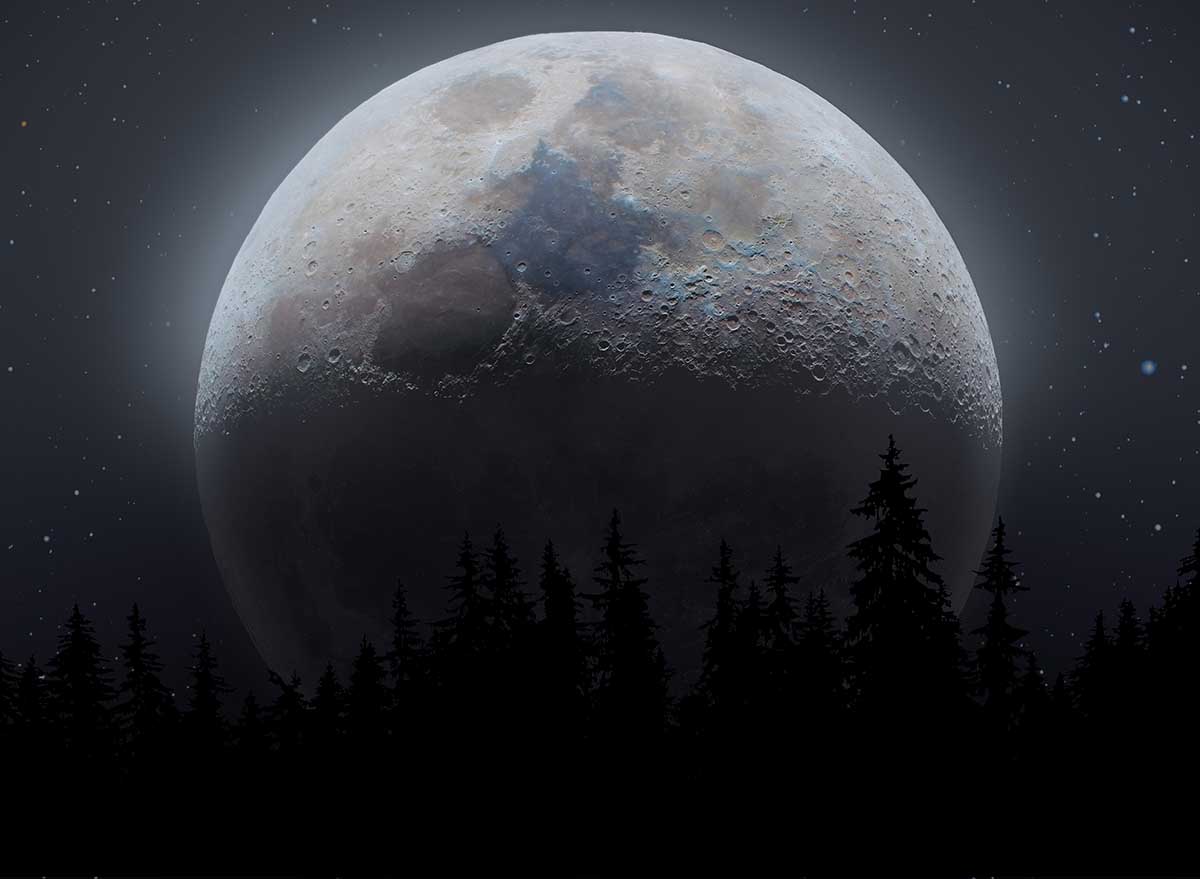 ALIPRINT Lune lumineuse au-dessus de la silhouette des arbres nocturnes, ciel étoilé. Image de fond d'écran captivante avec un thème astral et naturel. Algerie